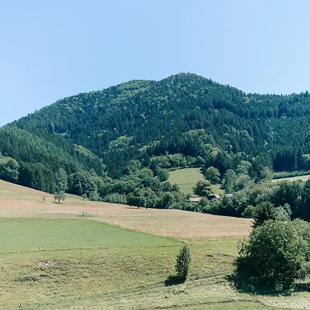 Appartement Rustikale 3 Zi.-fewo Naehe Freiburg 70qm Simonswald