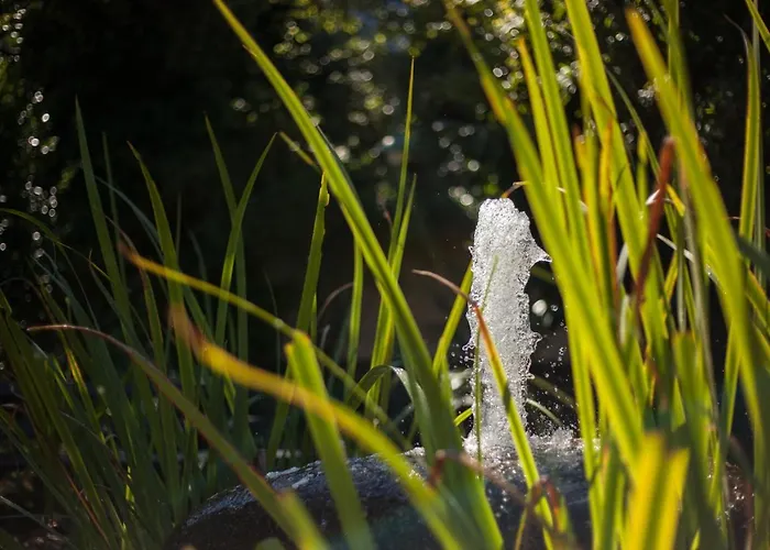 Lägenhet Rustikale 3 Zi.-fewo Naehe Freiburg 70qm *